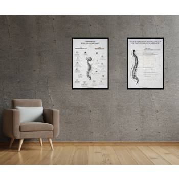 Plakat- Układ nerwowy Model I- Biały B2